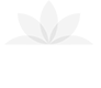 Blog da Plantei
