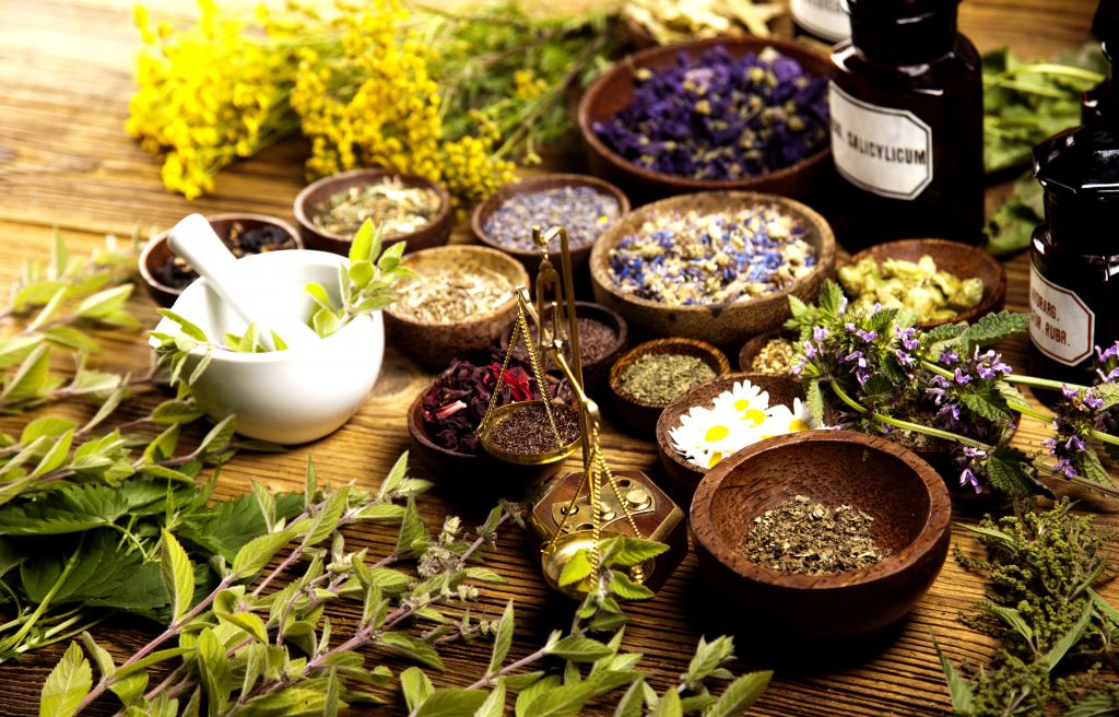 15 Plantas Medicinais Que Você Pode Ter No Jardim Blog Da Plantei 4479