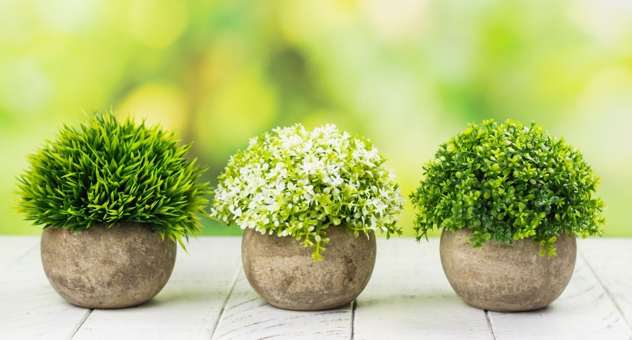 5 dicas de decoração com plantas artificiais - Blog da Plantei
