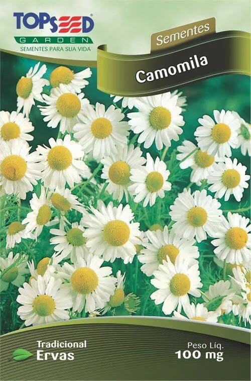 sementes de camomila