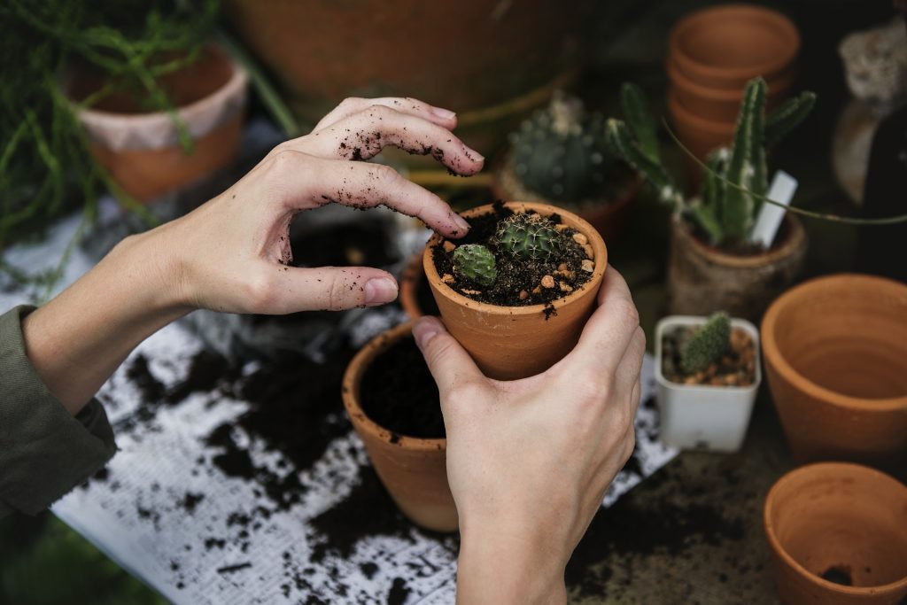 Pessoa com as mãos na terra plantando flores em vasos