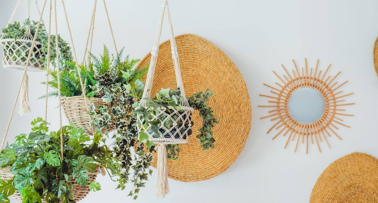 Plantas para jardim: quais são e como adicionar a decoração