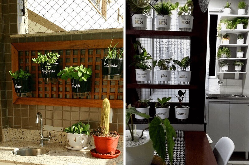 plantas na cozinha