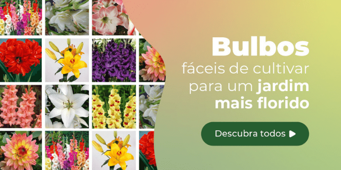 O banner mostra fotos de flores bulbosas e apresenta o seguinte texto: "Bulbos fáceis de cultivar para ter um jardim mais florido". 