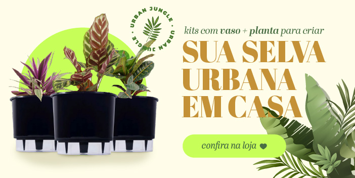 Selva urbana: kits com vaso e plantas para cultivar dentro de casa.
