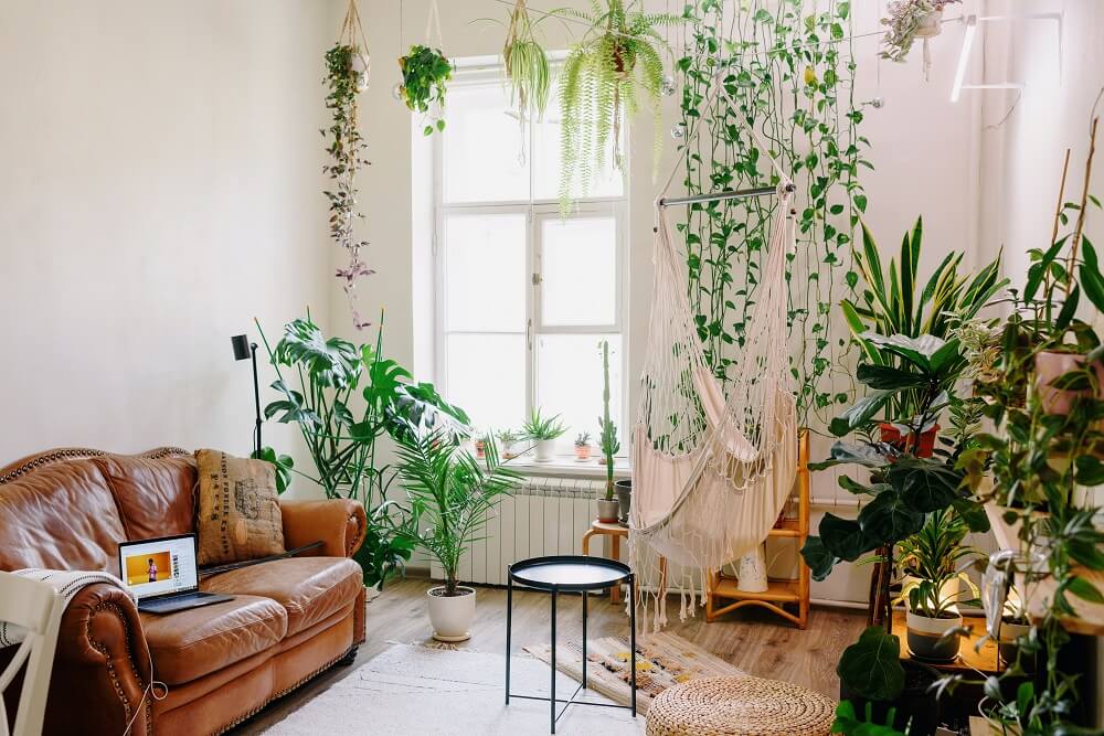 plantas em apartamento