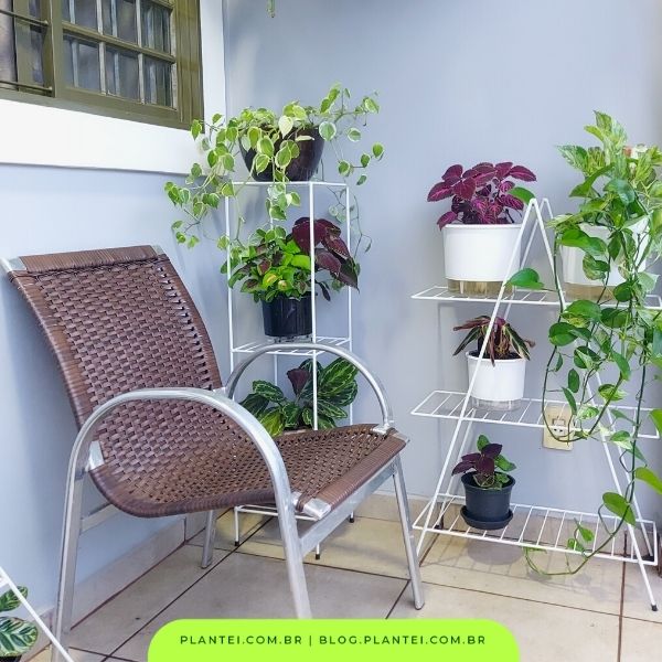 Decoração de varanda com plantas: 7 ideias incríveis - Blog da Plantei