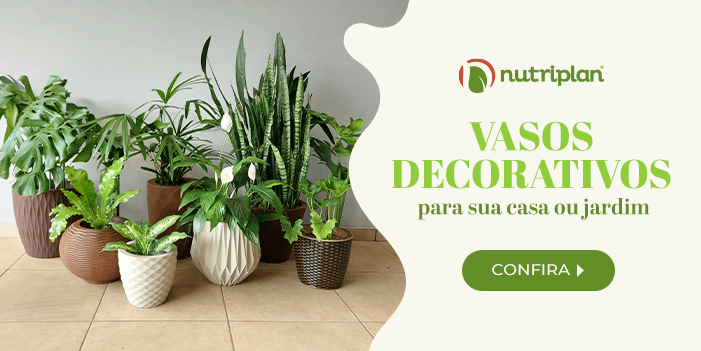 Vasos decorativos com folhagens verdes: costela-de-adão, lírio-da-paz, palmeira raphis, espanda-de-são-jorge e outros.