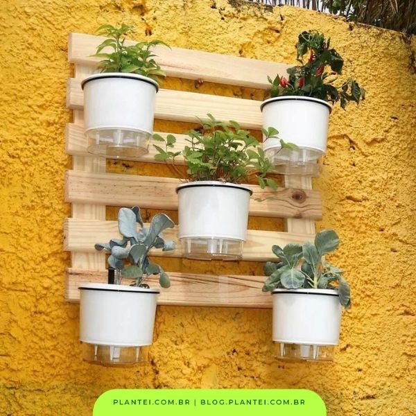 presentes para quem gosta de plantas: horta vertical de parede