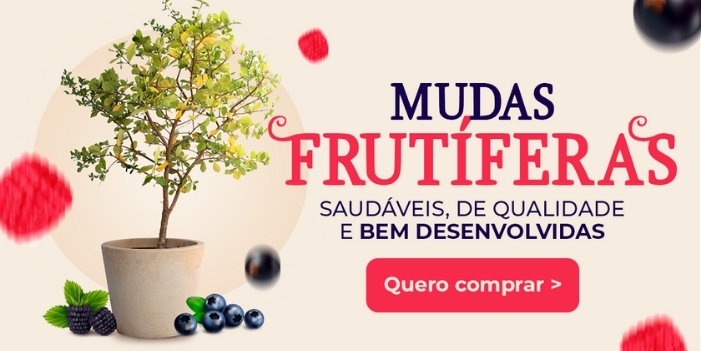 Banner com imagem de mudas frutíferas para acesso à categoria de frutíferas da loja Plantei Garden Center.