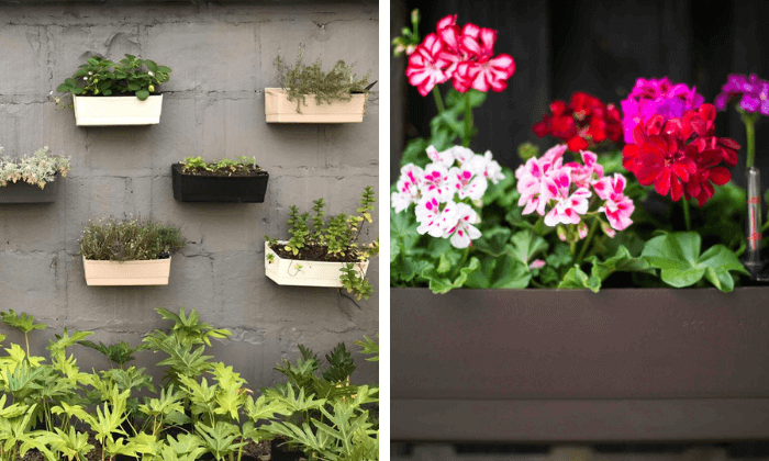 Jardim de inverno: como escolher plantas e decorar - Blog da Plantei
