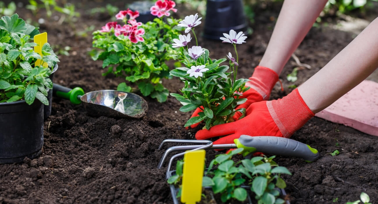10 ideias para jardim pequeno e simples - Blog da Plantei