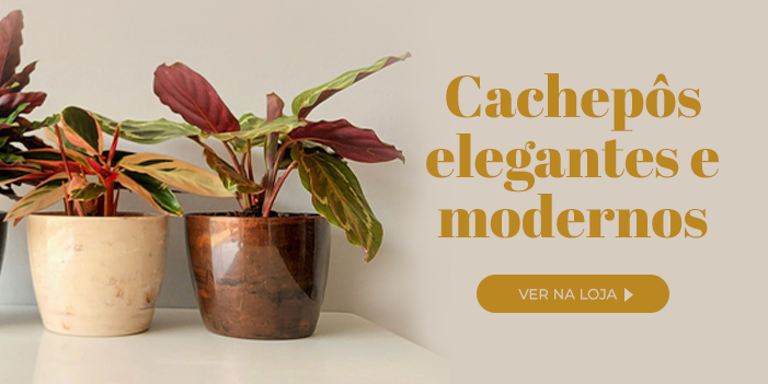 Cachepô elegantes e modernos: para folhagens e ambientes internos. Clique e veja as opções na loja Plantei.