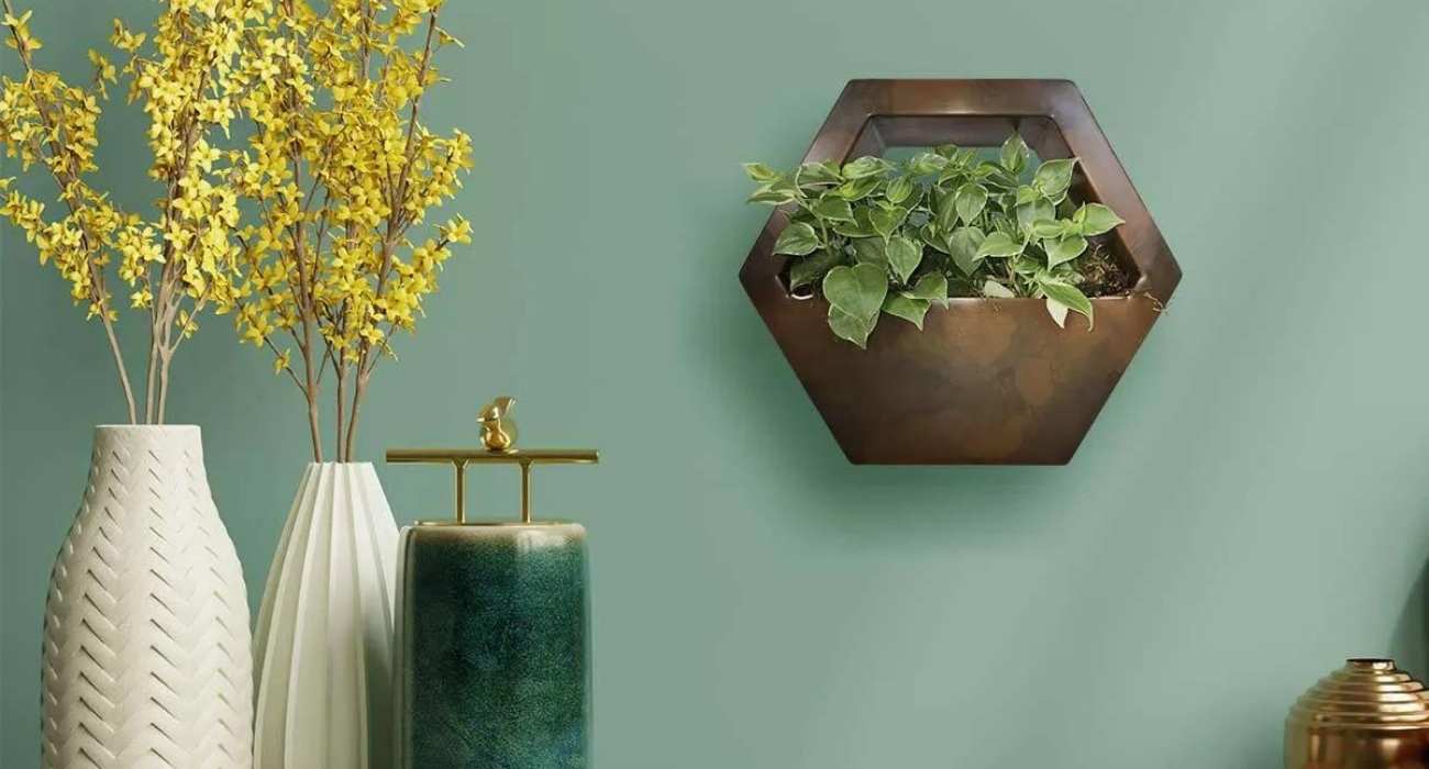 Plantas na parede: 5 ideias para sua casa - Blog da Plantei