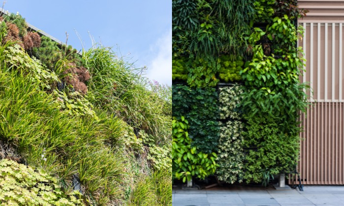 Parede verde com plantas em espaços externos.