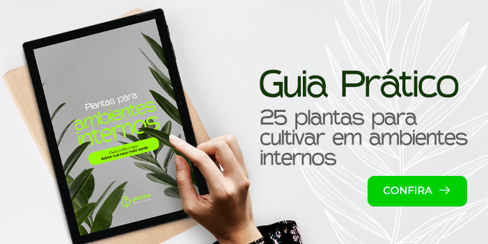 Plantas para ambientes internos - Guia prático para deixar sua casa mais verde