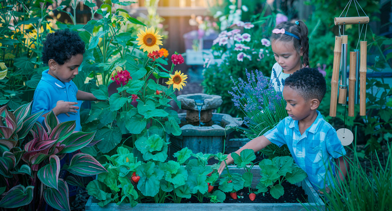 Jardins Sensoriais: Como Criar Ambientes Terapêuticos com Plantas
