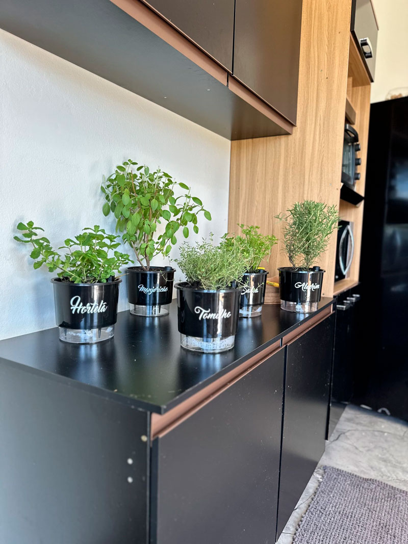 Linha gourmet Plantei com ervas frescas em cozinha moderna - hortelã, manjericão, tomilho, sálvia e alecrim
