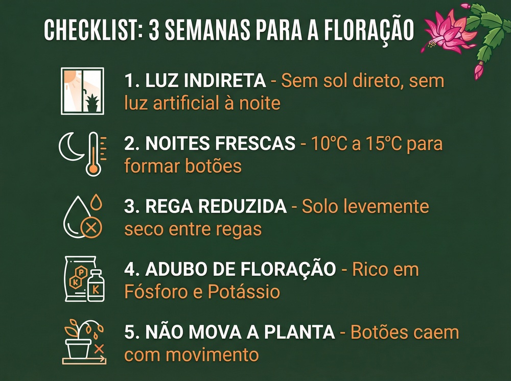 Infográfico com checklist de 5 ações para garantir a floração da Flor-de-Maio em 3 semanas 