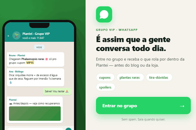 Grupos VIPS no WhatsApp