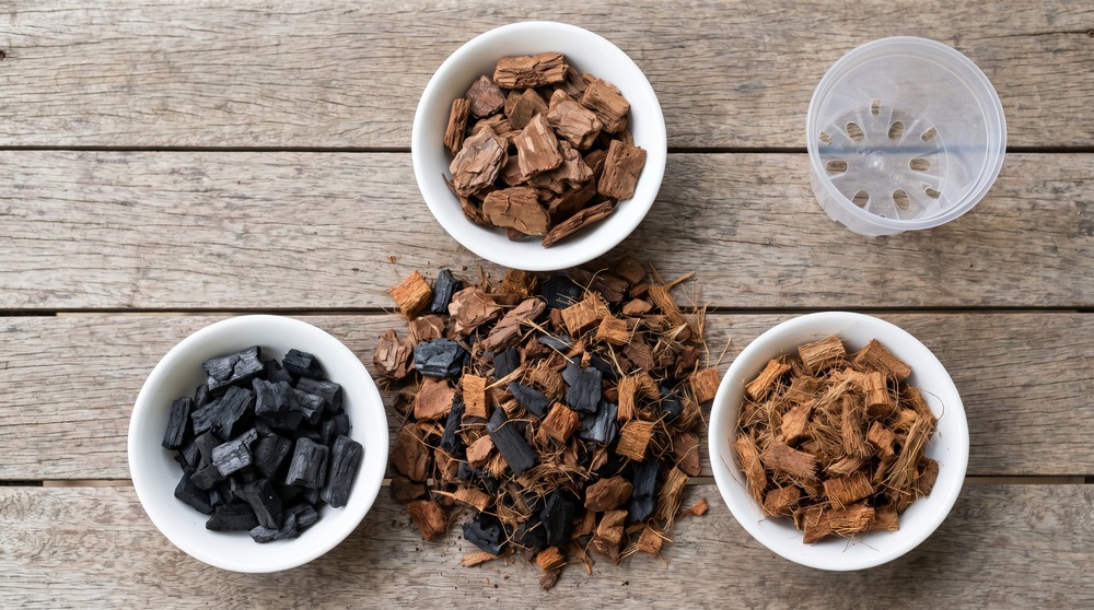 Componentes do substrato ideal para orquídeas: casca de pinus, carvão vegetal e fibra de coco em bowls brancos sobre madeira